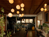 Liora Celeste Pendant Light — view 21