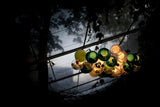 Liora Celeste Pendant Light — view 24